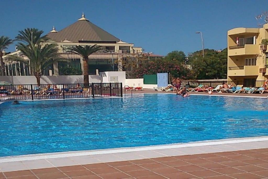 ארונה Studio In Torres Del Sol Griffin Near The Beach מראה חיצוני תמונה